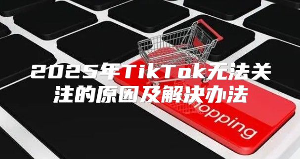 2025年TikTok无法关注的原因及解决办法