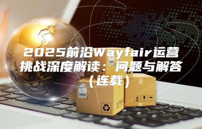 2025前沿Wayfair运营挑战深度解读：问题与解答连载