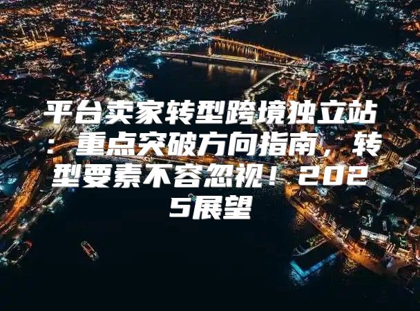平台卖家转型跨境独立站：重点突破方向指南，转型要素不容忽视！2025展望