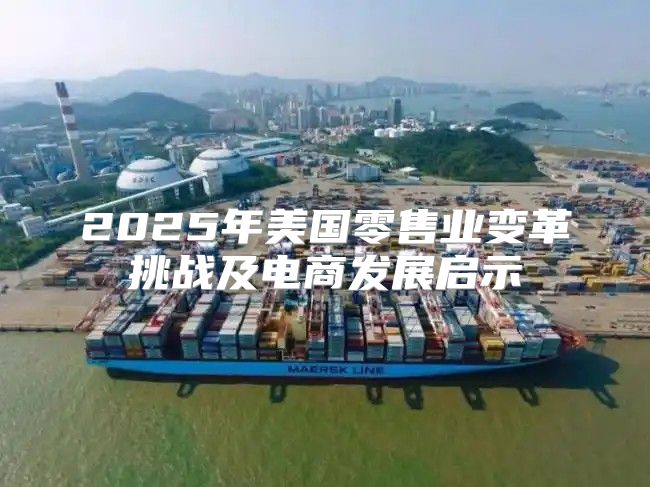 2025年美国零售业变革挑战及电商发展启示