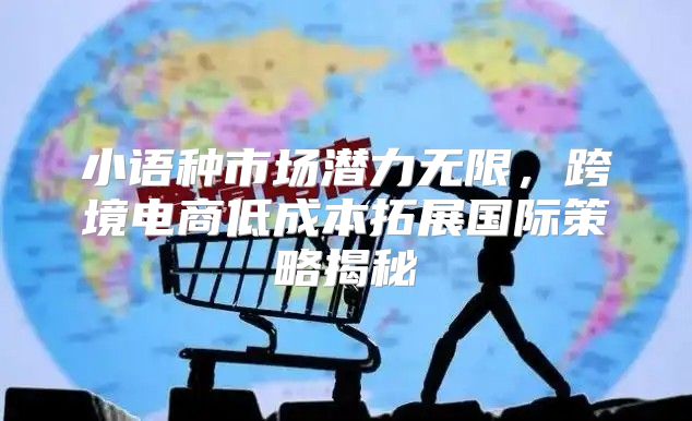 小语种市场潜力无限，跨境电商低成本拓展国际策略揭秘