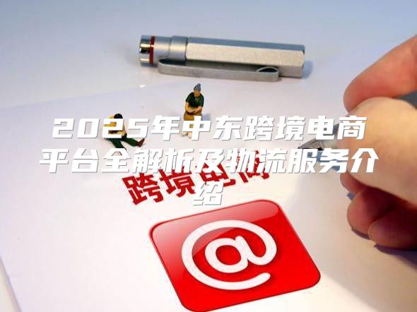 2025年中东跨境电商平台全解析及物流服务介绍