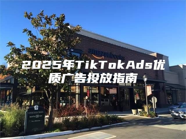 2025年TikTokAds优质广告投放指南