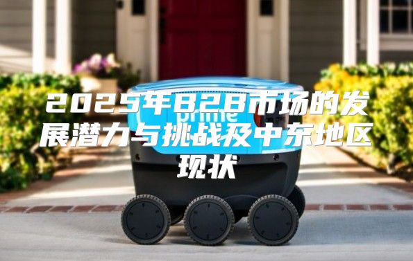 2025年B2B市场的发展潜力与挑战及中东地区现状