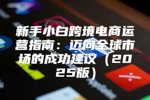 新手小白跨境电商运营指南：迈向全球市场的成功建议2025版