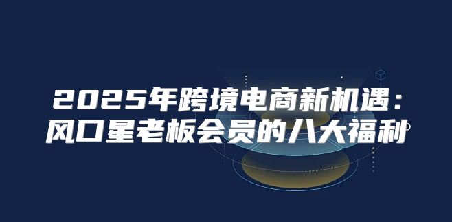 2025年跨境电商新机遇：风口星老板会员的八大福利