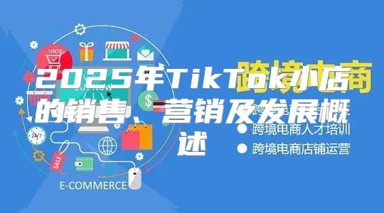 2025年TikTok小店的销售、营销及发展概述