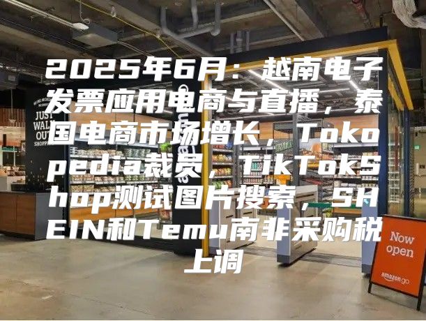 2025年6月：越南电子发票应用电商与直播，泰国电商市场增长，Tokopedia裁员，TikTokShop测试图片搜索，SHEIN和Temu南非采购税上调