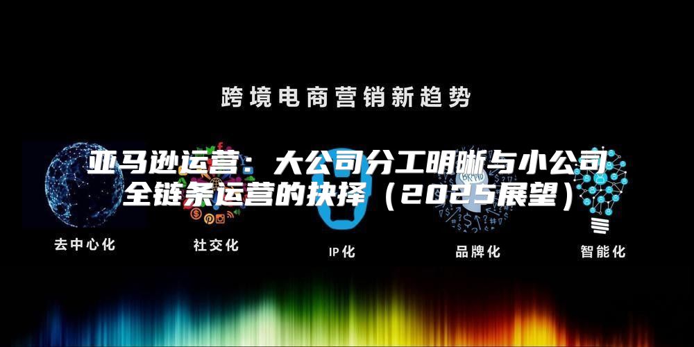 亚马逊运营：大公司分工明晰与小公司全链条运营的抉择2025展望