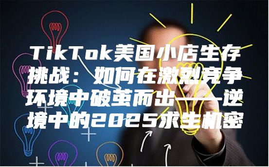 TikTok美国小店生存挑战：如何在激烈竞争环境中破茧而出——逆境中的2025求生机密