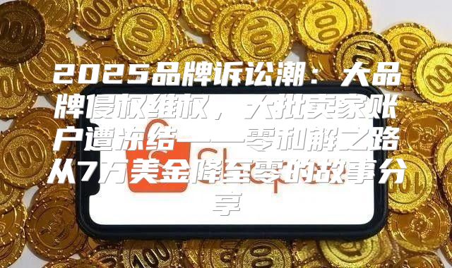 2025品牌诉讼潮：大品牌侵权维权，大批卖家账户遭冻结——零和解之路从7万美金降至零的故事分享