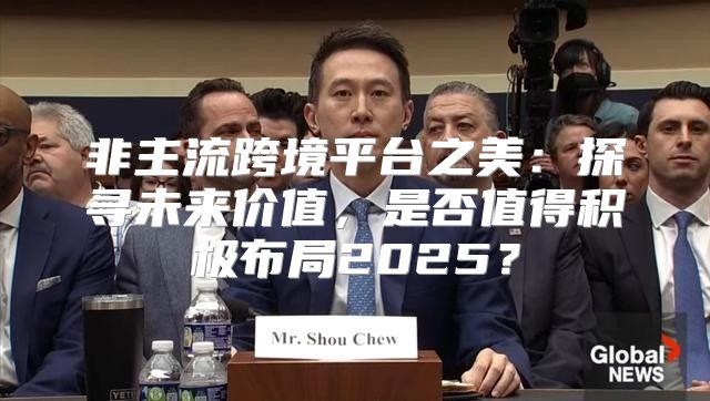 非主流跨境平台之美：探寻未来价值，是否值得积极布局2025？