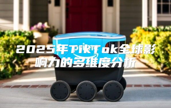 2025年TikTok全球影响力的多维度分析