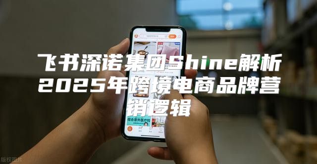 飞书深诺集团Shine解析2025年跨境电商品牌营销逻辑