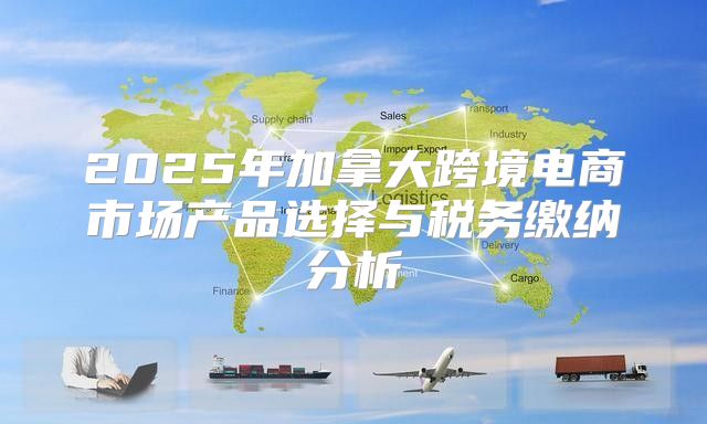 2025年加拿大跨境电商市场产品选择与税务缴纳分析