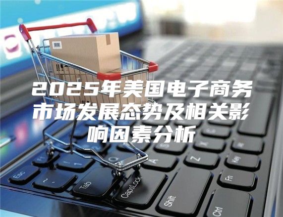 2025年美国电子商务市场发展态势及相关影响因素分析