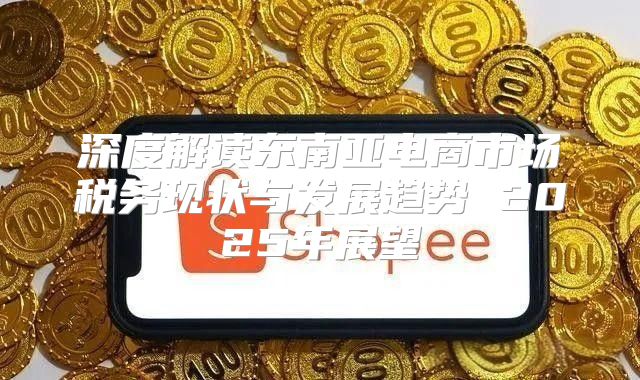 深度解读东南亚电商市场税务现状与发展趋势 2025年展望