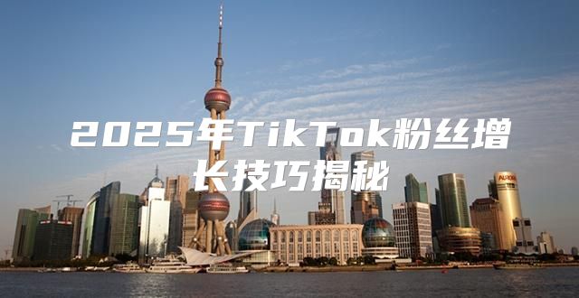 2025年TikTok粉丝增长技巧揭秘