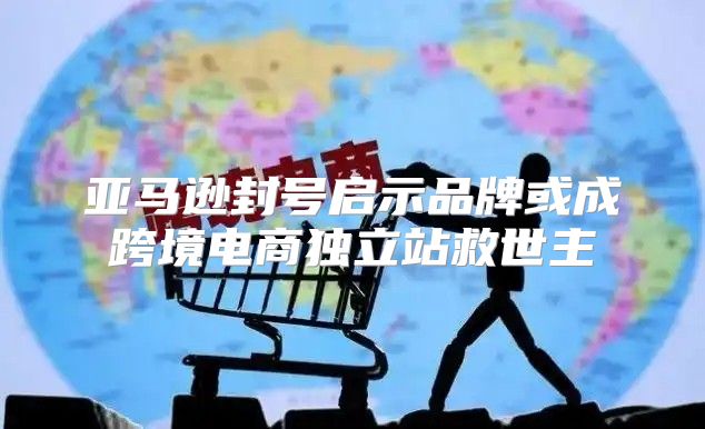 亚马逊封号启示品牌或成跨境电商独立站救世主