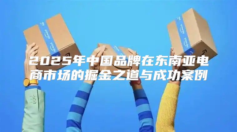 2025年中国品牌在东南亚电商市场的掘金之道与成功案例