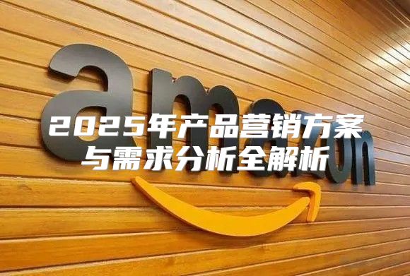 2025年产品营销方案与需求分析全解析
