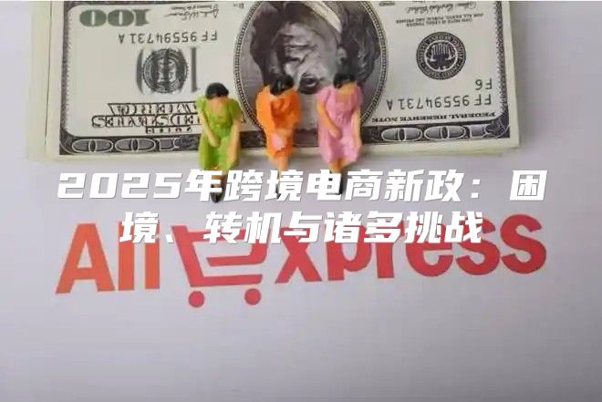 2025年跨境电商新政：困境、转机与诸多挑战