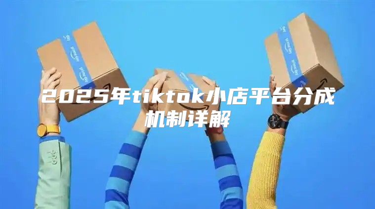 2025年tiktok小店平台分成机制详解