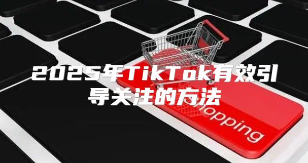 2025年TikTok有效引导关注的方法