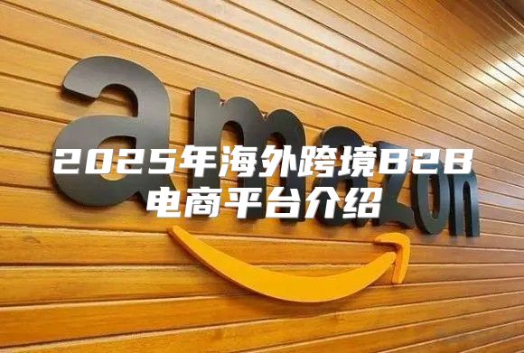 2025年海外跨境B2B电商平台介绍