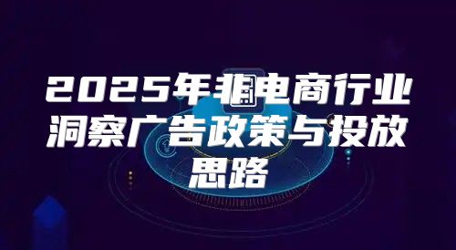 2025年非电商行业洞察广告政策与投放思路