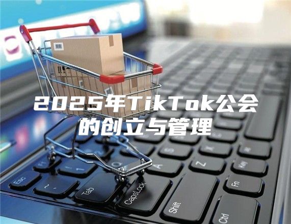 2025年TikTok公会的创立与管理