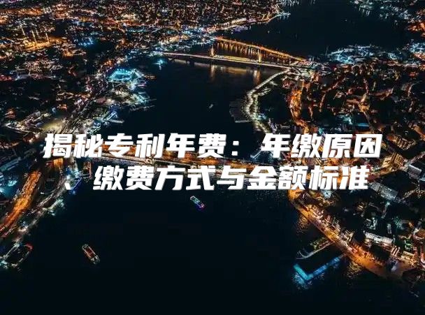 揭秘专利年费：年缴原因、缴费方式与金额标准
