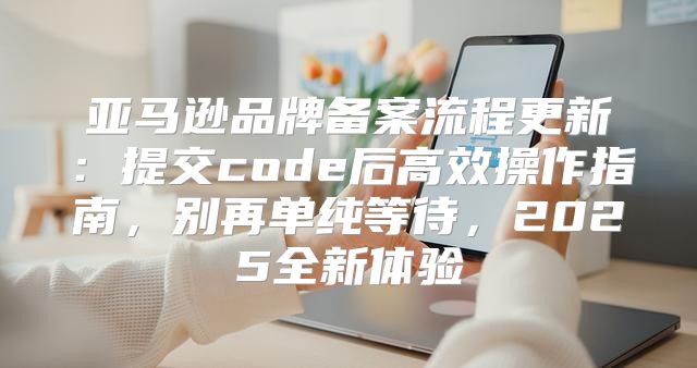 亚马逊品牌备案流程更新：提交code后高效操作指南，别再单纯等待，2025全新体验