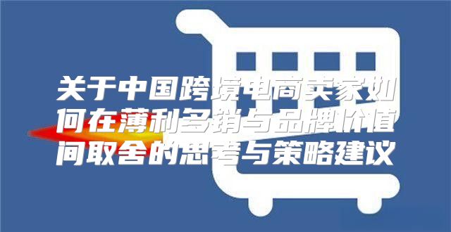 关于中国跨境电商卖家如何在薄利多销与品牌价值间取舍的思考与策略建议