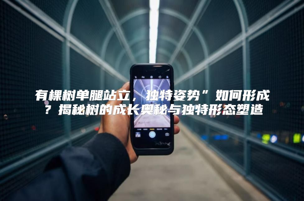 有棵树单腿站立，独特姿势”如何形成？揭秘树的成长奥秘与独特形态塑造