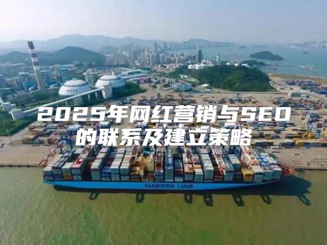 2025年网红营销与SEO的联系及建立策略