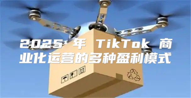 2025 年 TikTok 商业化运营的多种盈利模式