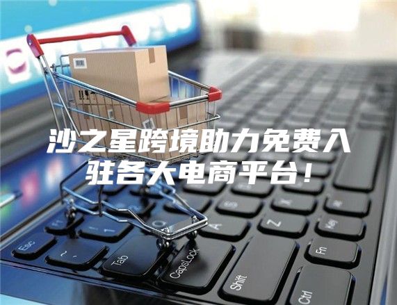 沙之星跨境助力免费入驻各大电商平台！