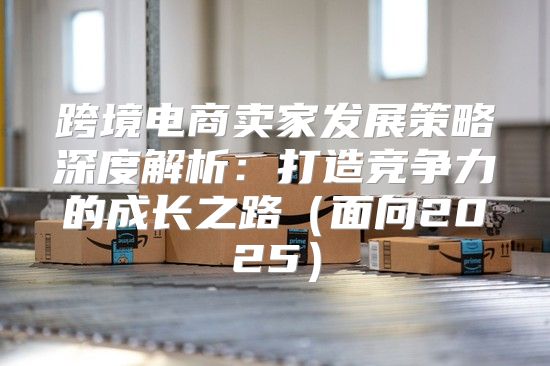 跨境电商卖家发展策略深度解析：打造竞争力的成长之路面向2025