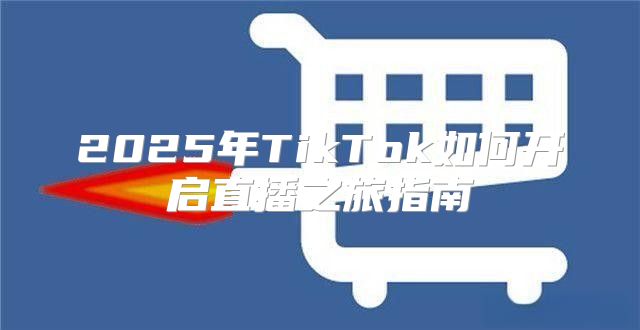 2025年TikTok如何开启直播之旅指南