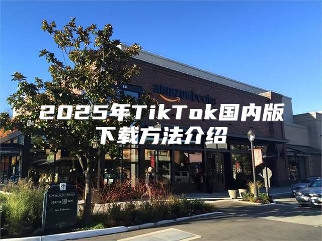 2025年TikTok国内版下载方法介绍