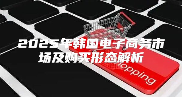 2025年韩国电子商务市场及购买形态解析