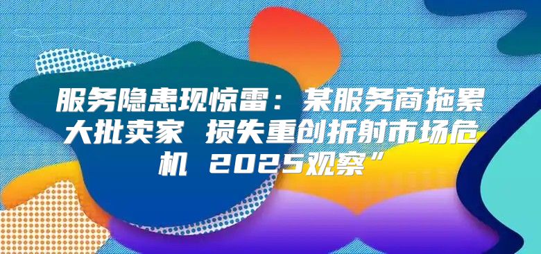 服务隐患现惊雷：某服务商拖累大批卖家 损失重创折射市场危机 2025观察”