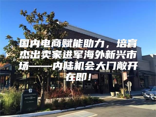 国内电商赋能助力，培育杰出卖家进军海外新兴市场——内陆机会大门敞开在即！
