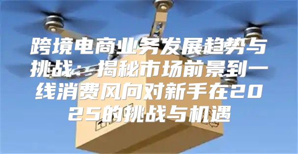 跨境电商业务发展趋势与挑战：揭秘市场前景到一线消费风向对新手在2025的挑战与机遇