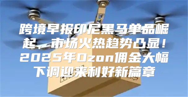 跨境早报印尼黑马单品崛起，市场火热趋势凸显！2025年Ozon佣金大幅下调迎来利好新篇章