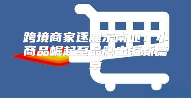 跨境商家逐鹿东南亚：小商品崛起至品牌出海新篇章
