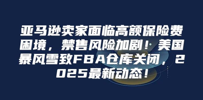 亚马逊卖家面临高额保险费困境，禁售风险加剧！美国暴风雪致FBA仓库关闭，2025最新动态！