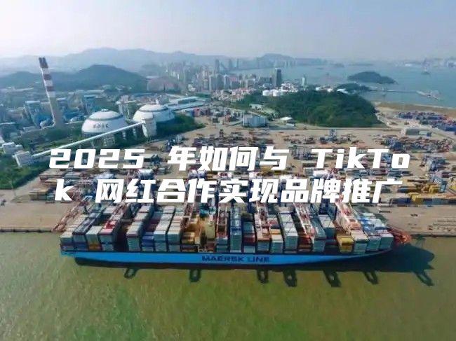 2025 年如何与 TikTok 网红合作实现品牌推广