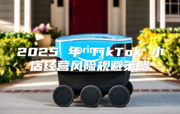2025 年 TikTok 小店经营风险规避策略